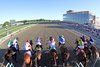 The start of the 52nd Running of Cotillion Stakes (GI) at Parx on September 24, 2022. Photo By: Chad B. Harmon