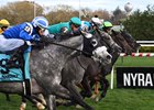 Salimah wins the Winter Memories Stakes on Sunday, November 13, 2022 at Aqueduct