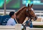 Derma Sotogake, Christophe Lemaire, UAE Derby , Meydan Racecourse, Dubai UAE, March 25, 2023, Mathea Kelley