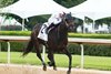 Skelly wins 2023 Count Fleet Sprint Handicap at Oaklawn Park