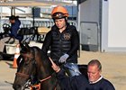 Coffeewithchris takes to the track for morning exercise with trainer and co-owner John Salzman Sr. at Pimlico Race Course Thursday May 18, 2023 in Baltimore, MD. Photo by Skip Dickstein