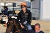 Coffeewithchris takes to the track for morning exercise with trainer and co-owner John Salzman Sr. at Pimlico Race Course Thursday May 18, 2023 in Baltimore, MD. Photo by Skip Dickstein