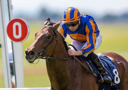Paddington wins the 2023 Irish Two Thousand Guineas at The Curragh