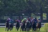 Caraval with Tyler Gaffalione wins the Jaipur (G1T) at Belmont Park in Elmont, N.Y. on June 10, 2023