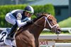 Nest ridden by Irad Ortiz Jr. put away CLairiere with Joel Rosario in the saddle to win the 47th running of The Shuvee at the Saratoga Race Course Sunday July 23, 2023 in Saratoga Springs, N.Y. Photo  by Skip Dickstein