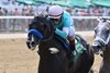 Fort Bragg wins the 2023 Dwyer Stakes at Belmont Park