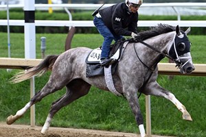 Tapit Trice, with Jose Ortiz up, works with blinkers Aug. 19 at Saratoga Race Course