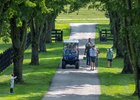 Michael Blowen giving his weekly tour.
Retired horses at Old Friends in Georgetown, Ky., on Aug. 19, 2023.