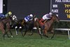 Mia’s Crusade #7 with Jomar Torres riding won the Pinot Grigio Handicap at the Monmouth at Meadowlands Meet on Friday 10/6/23.