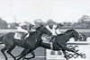 Pebbles wins the 1985 Breeders' Cup Turf (G1T) at Aqueduct