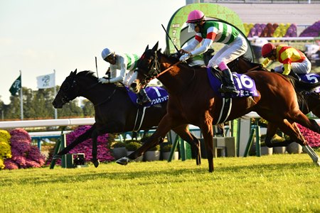 Namur (pink cap) wins the 2023 Mile Championship at Kyoto Racecourse
