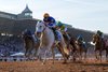 White Abarrio and Irad Ortiz Jr. win the Breeders’ Cup Classic 11.4.23 at Santa Anita Park, Arcadia, CA Mathea Kelley