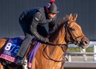 She Feels Pretty on track Thursday Nov.2, 2023 in preparation for the 40th running of the Breeders’ Cup Championships which will occur Friday and Saturday at Santa Anita Race Track in Arcadia, California.  Photo by Skip Dickstein