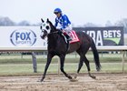 Hoist the Gold wins the 2023 Cigar Mile Handicap at Aqueduct