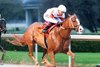Valentine Candy wins the 2024 Ozark Stakes at Oaklawn Park