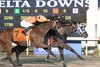 Lightofmaine wins 2024 LA Bred Premier Starlet Stakes at Delta Downs