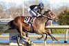 Uncle Heavy wins the Withers Stakes at Aqueduct Racetrack