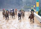 Mystik Dan wins the Southwest Stakes on Saturday, February 3, 2024 at Oaklawn Park
