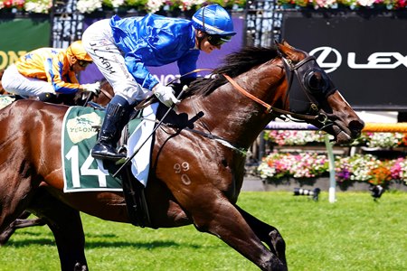 Three-year-old colt Cylinder wins the Newmarket Handicap at Flemington Racecourse