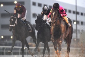 Deterministic (right) wins the Gotham Stakes at Aqueduct Racetrack