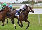 Emmanuel wins the 2024 Canadian Turf Stakes at Gulfstream Park
