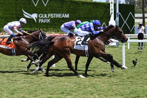 Kertez wins the Pan American Stakes at Gulfstream Park