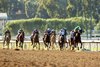 Shady Tiger and jockey Juan Hernandez win the $125,000 Echo Eddie Stakes, Saturday, April 6, 2024 at Santa Anita Park, Arcadia CA.
© BENOIT PHOTO