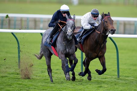 Fallen Angel (left) trains in advance of the One Thousand Guineas at Newmarket