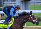 Fierceness with John Velazquez works.
Morning training at Churchill Downs on April 26, 2024. . 

