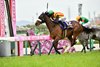 The Oka Sho (Japanese 1000 Guineas) won by Stellenbosch, ridden by J. Moreira, trained by Sakae Kunieda, and owned by Katsumi Yoshida on April 7, 2024 at Hanshin Racecourse