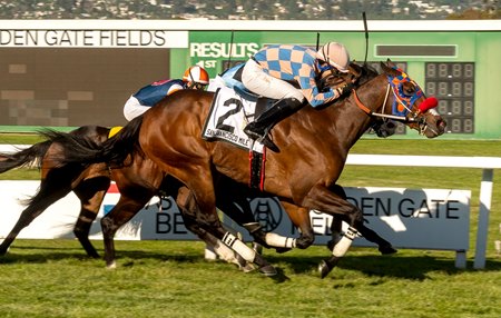 Lammas wins the San Francisco Mile Stakes at Golden Gate Fields