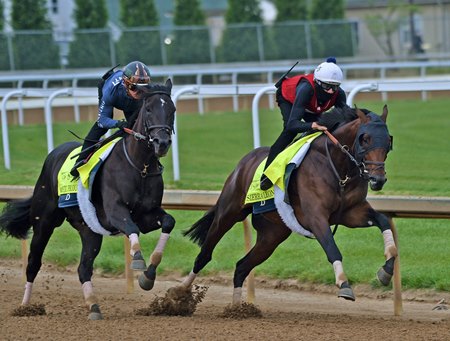 (L-R) Stablemates Domestic Product and Sierra Leone work April 27 at Churchill Downs