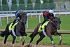 April 27, 2024: Domestic Product (L) and stablemate Sierra Leone working five furlongs Saturday morning at Churchill Downs...