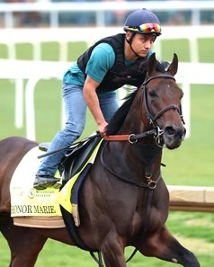 Mike Curry believes Honor Marie will provide horseplayers some value in this year's Kentucky Derby