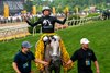 Seize the Grey and Jamie Torres win the G1 Preakness Stakes, Pimlico Racetrack, Baltimore, Md. May 18th, 2024, Mathea Kelley 