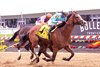 Pyrenees wins the Pimlico Special S. 5-17-24 at Pimlico