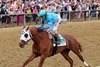 Gun Song with John Velazquez wins the Black-Eyed Susan (G2 ) at Pimlico in Baltimore, MD., on May 17, 2024.
