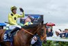 Rosallion and Sean Levey winning the Irish 2,000 Guineas.  The Curragh.
Photo: Patrick McCann/Racing Post
25.05.2024
