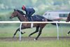 Reaching High (Ryan Moore) run past the Cambridge train on the Al Bahathri gallops
Newmarket 4.5.24 Pic: Edward Whitaker