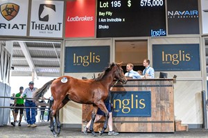 An I Am Invincible weanling tops the opening session of the Inglis Australian Weanling Sale May 6