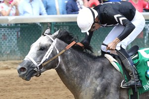 Jaime Torres celebrates aboard Seize the Grey as they win the Pat Day Mile Stakes at Churchill Downs