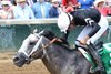 Jaime Torres celebrates aboard Seize the Grey as they win the Pat Day Mile Stakes at Churchill Downs