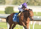 Play the Music wins the Whimsical Stakes at Woodbine on May 4, 2024