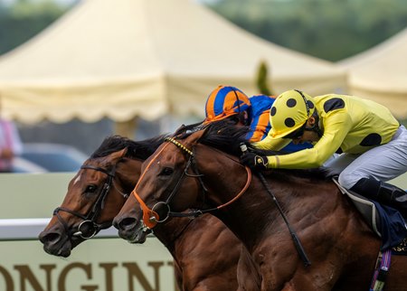 Rosallion (yellow silks) wins the 2024 St. James's Palace Stakes at Ascot Racecourse
