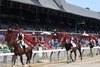 Kendra Richardson puts Dangerous Edge through his dressage paces, while Ben Richardson leads 6-year-old Raina for a leadline exhibition with recent retiree Financier.
2024 New York Thoroughbred Aftercare Day