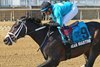 Dean Martini wins the 2024 Japan Turf Cup Stakes at Laurel Park