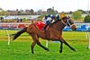 Buckaroo wins the 2024 Underwood Stakes at Caulfield Racecourse
ridden by Joao Moreira and trained by Chris Waller
