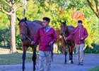 Taylor Made yearlings being paraded.
Scenes from the Keeneland September sale near Lexington, Ky., on Sept. 7, 2024.
