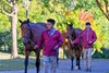 Taylor Made yearlings being paraded.
Scenes from the Keeneland September sale near Lexington, Ky., on Sept. 7, 2024.