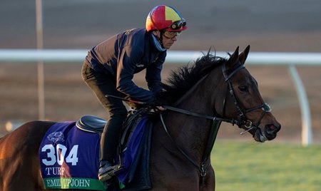 A full brother to multiple group 1 winner Emily Upjohn (pictured) is featured in the Tattersalls December Yearling Sale